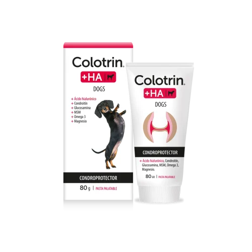Colotrin HA Dogs x 80 g